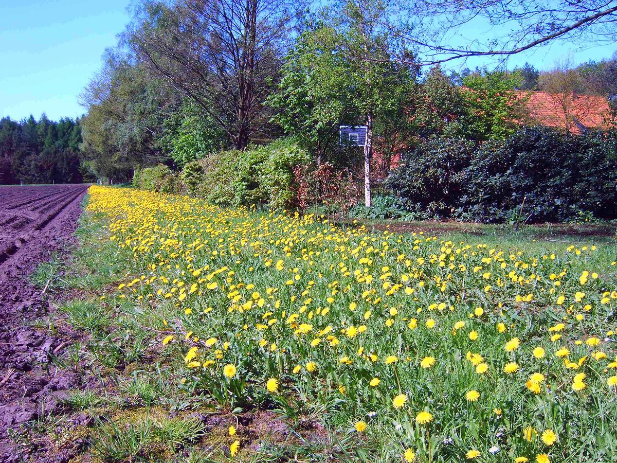 Ferienhof Gruber Wesseloh Buitenkant foto